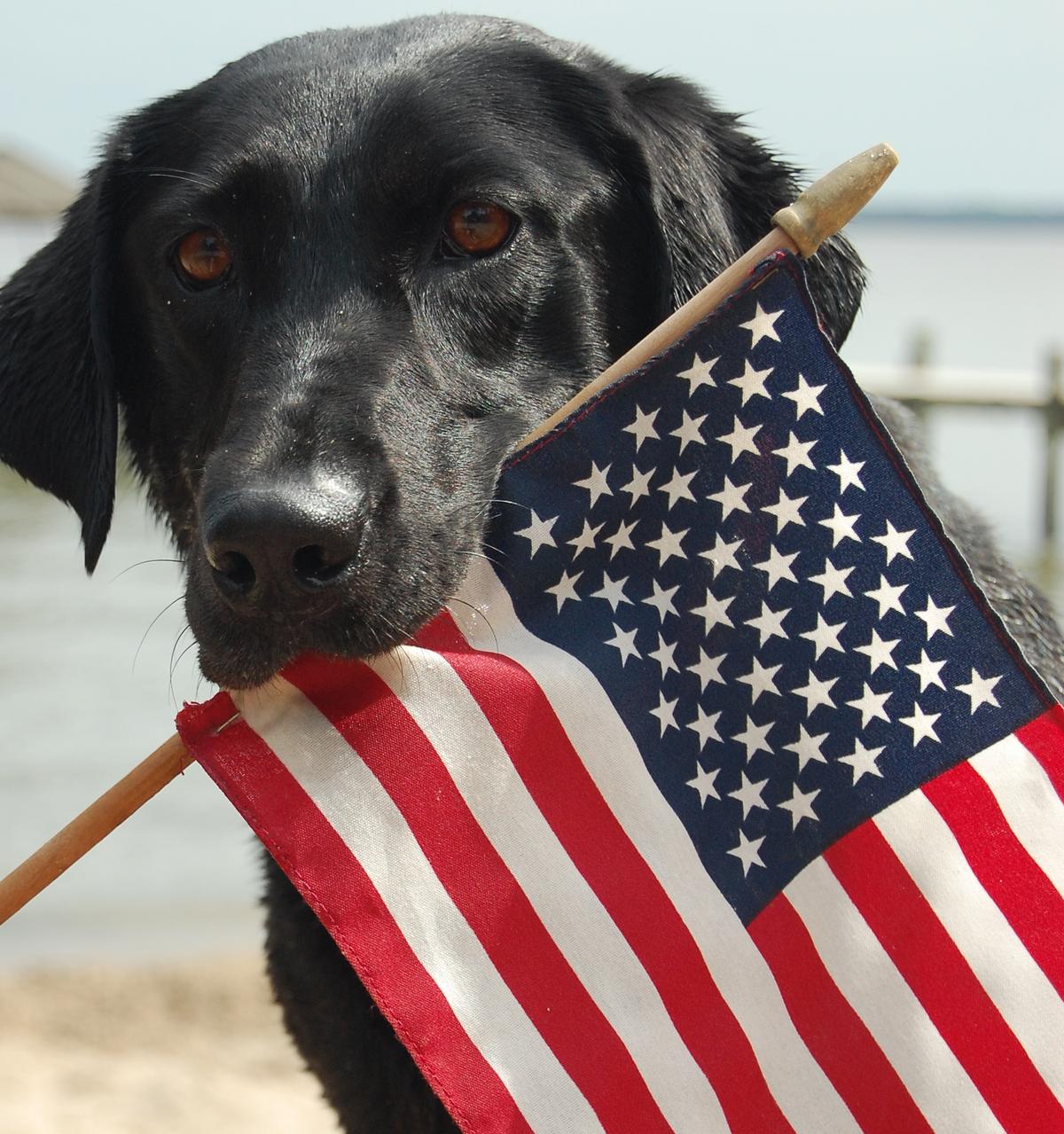 MEMORIAL DAY