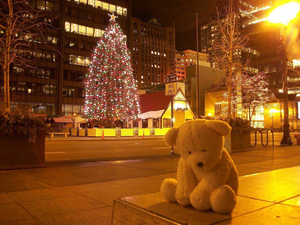 Sharing the joy of the season